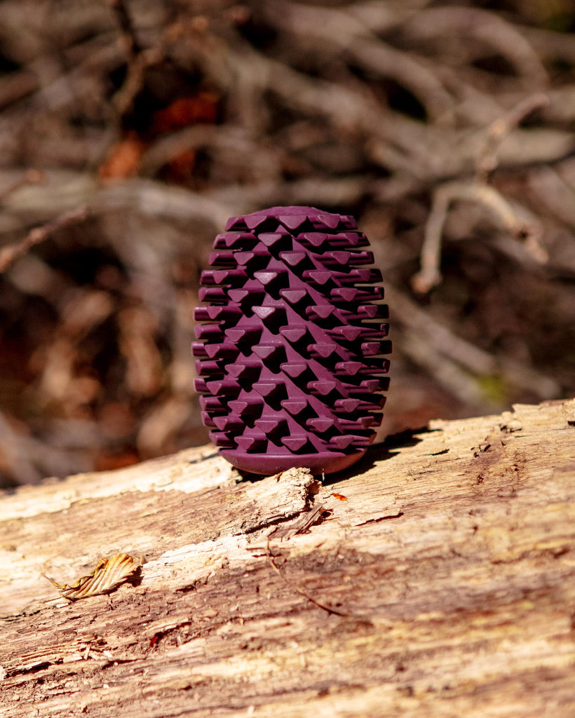 Natural Rubber Pinecone Dog Treat Toy Play TALL TAILS