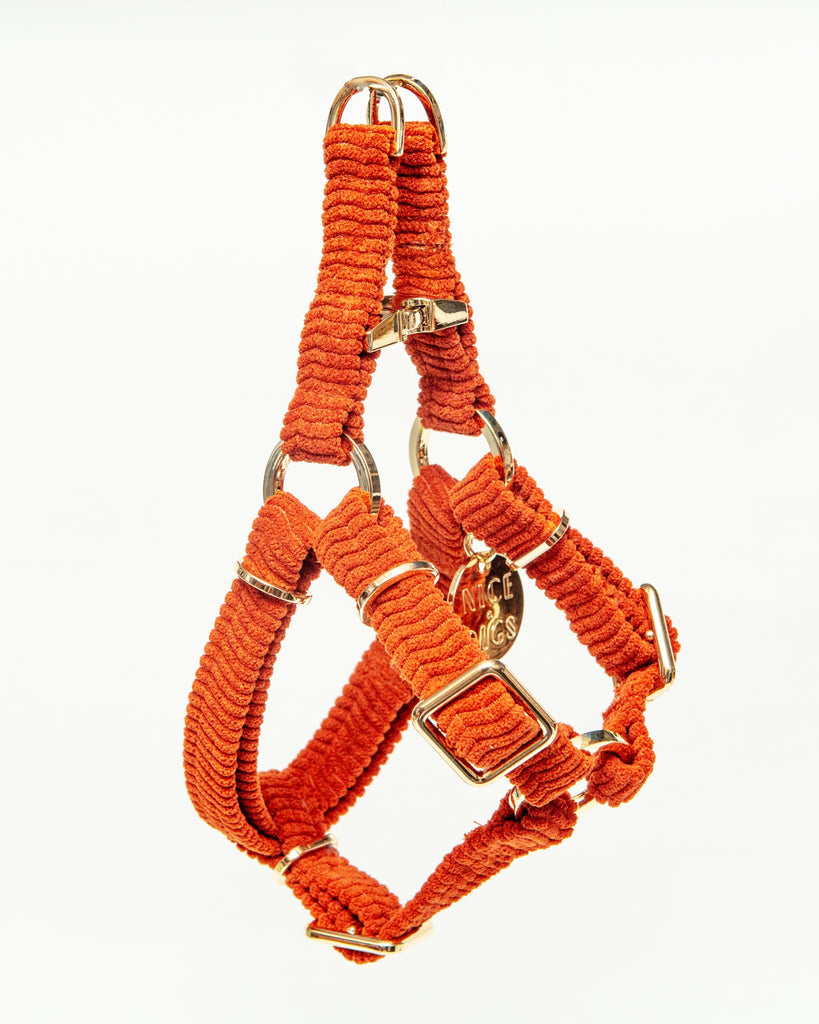Cord Dog Harness in Rust WALK NICE DIGS   