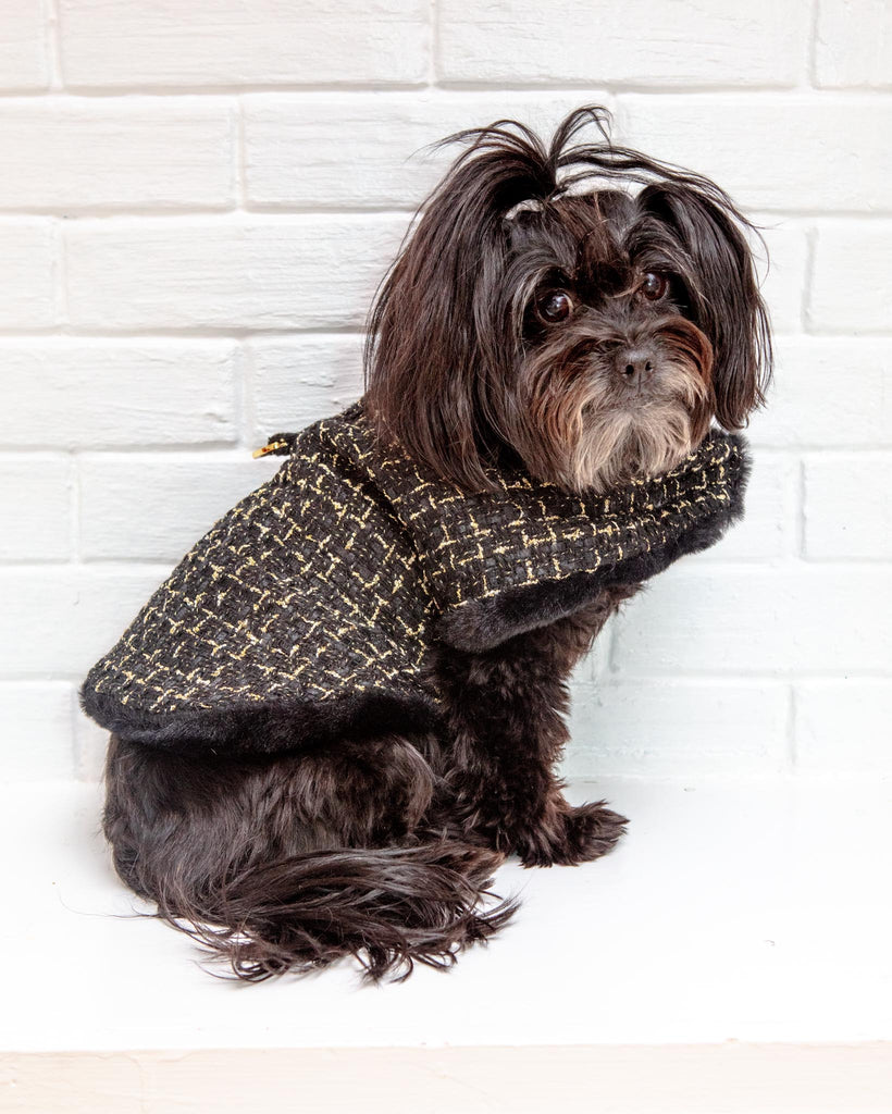 Chantel Tweed Dog Coat in Black (FINAL SALE) Wear HELLO DOGGIE   