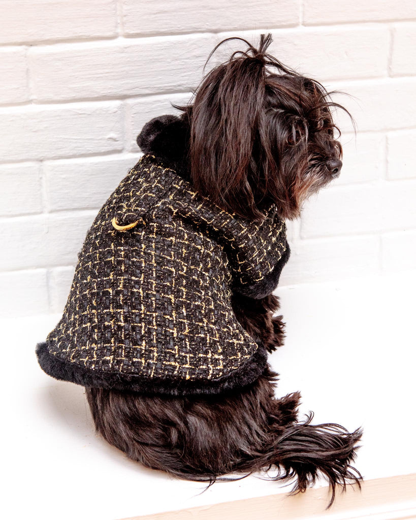 Chantel Tweed Dog Coat in Black (FINAL SALE) Wear HELLO DOGGIE   