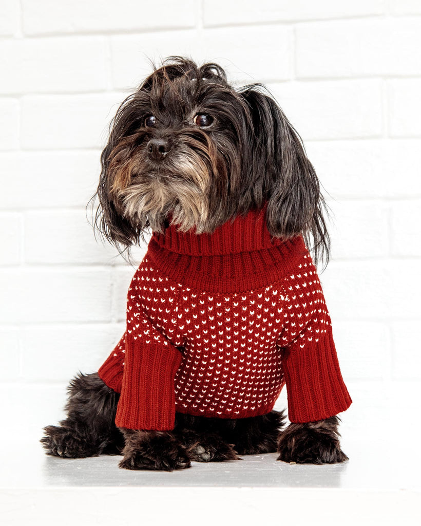 Heart Stitch Turtleneck Dog Sweater Wear THE FOGGY DOG   