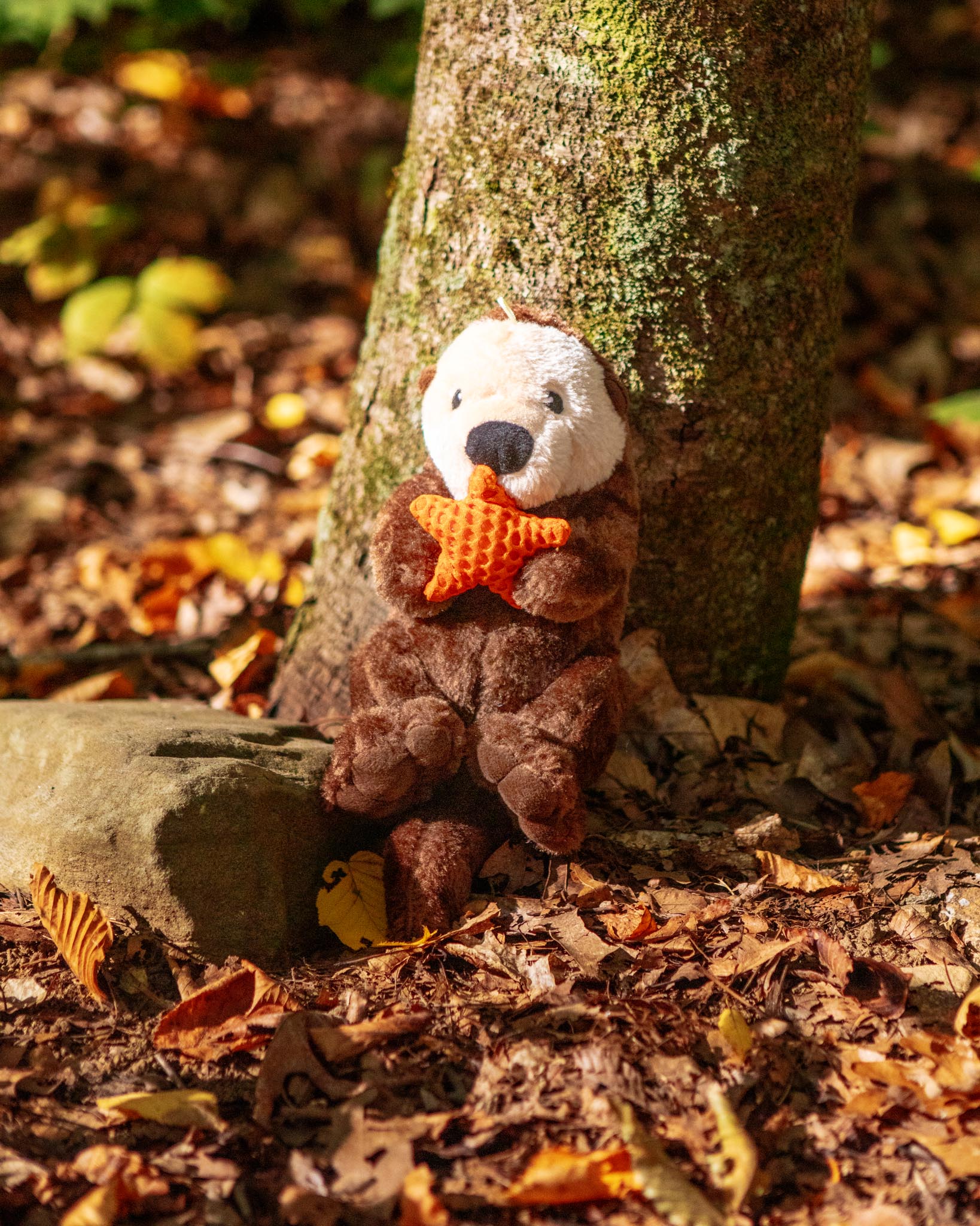 DOG & CO. | Quality Pet Products, In-Store & Online