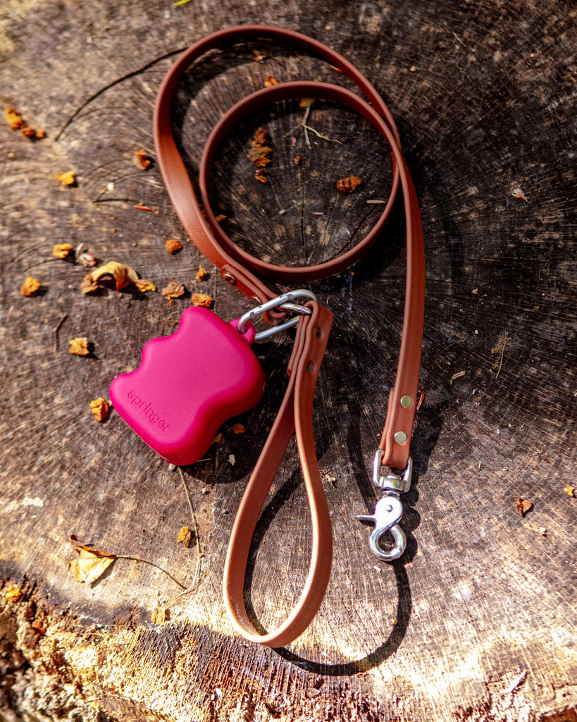 City Leash in Mocha Brown (Made in the USA) WALK DOG & CO. COLLECTION