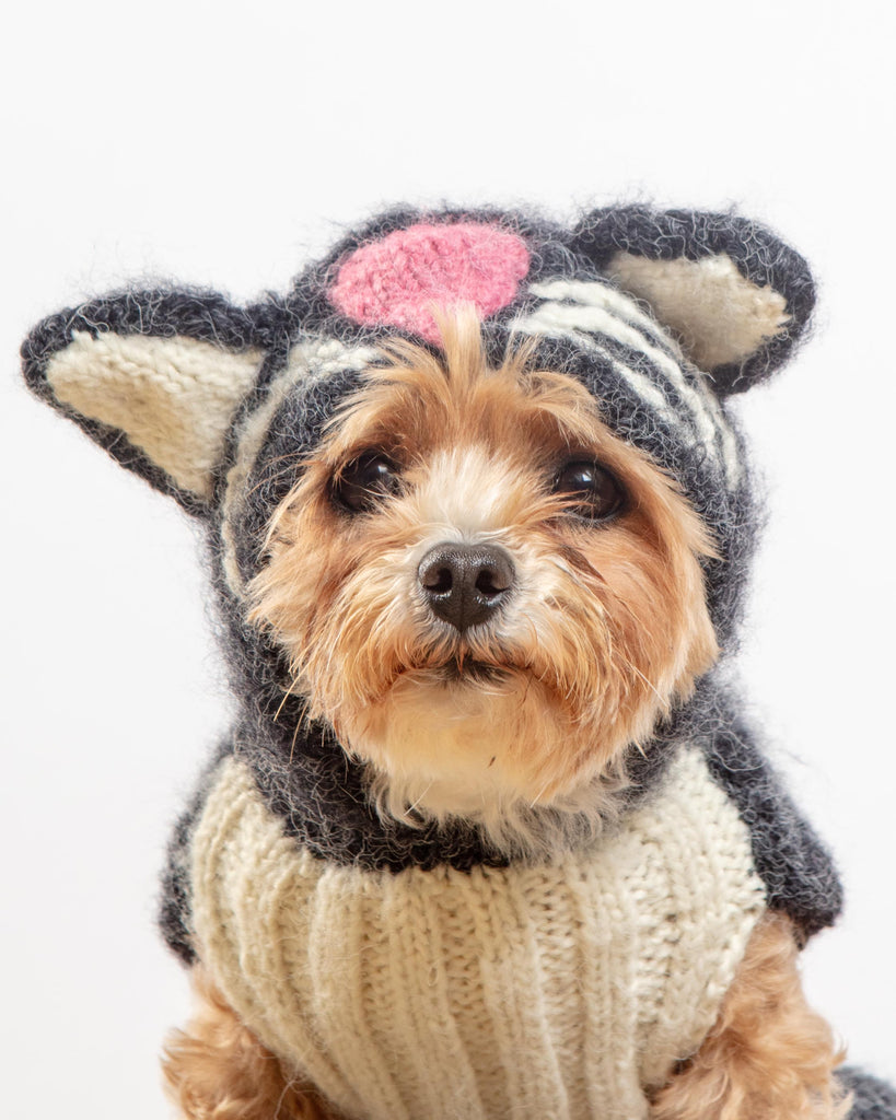 Kitty-Kat Handknit Dog Sweater (DOG & CO. Exclusive) Wear PERUVIAN KNITS