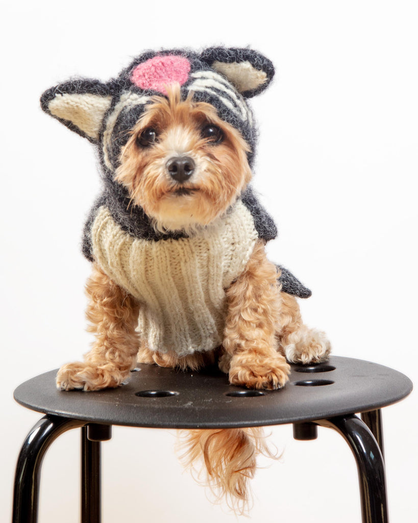 Kitty-Kat Handknit Dog Sweater (DOG & CO. Exclusive) Wear PERUVIAN KNITS
