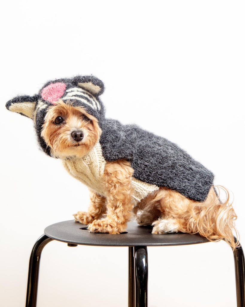 Kitty-Kat Handknit Dog Sweater (DOG & CO. Exclusive) Wear PERUVIAN KNITS