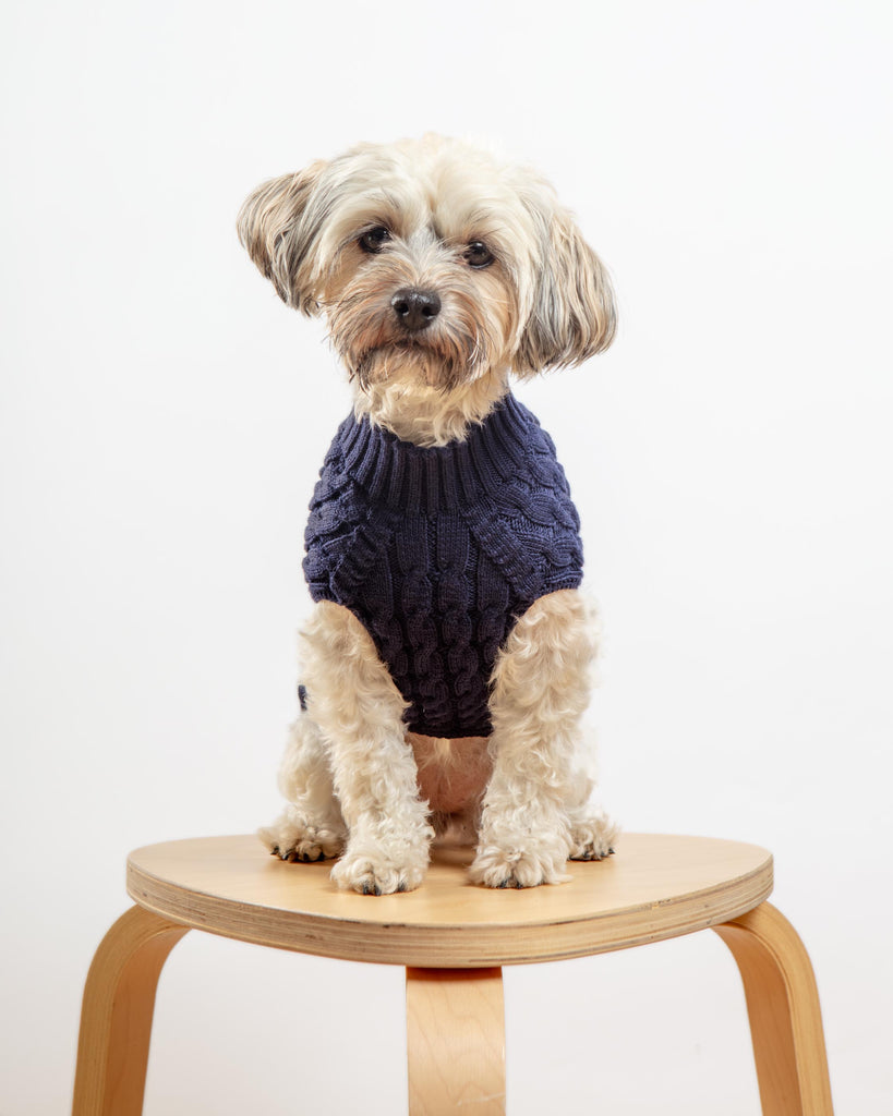 The Uptown Cable Knit Sweater in Navy Blue Cotton (Made in NYC) Wear DOG & CO. COLLECTION