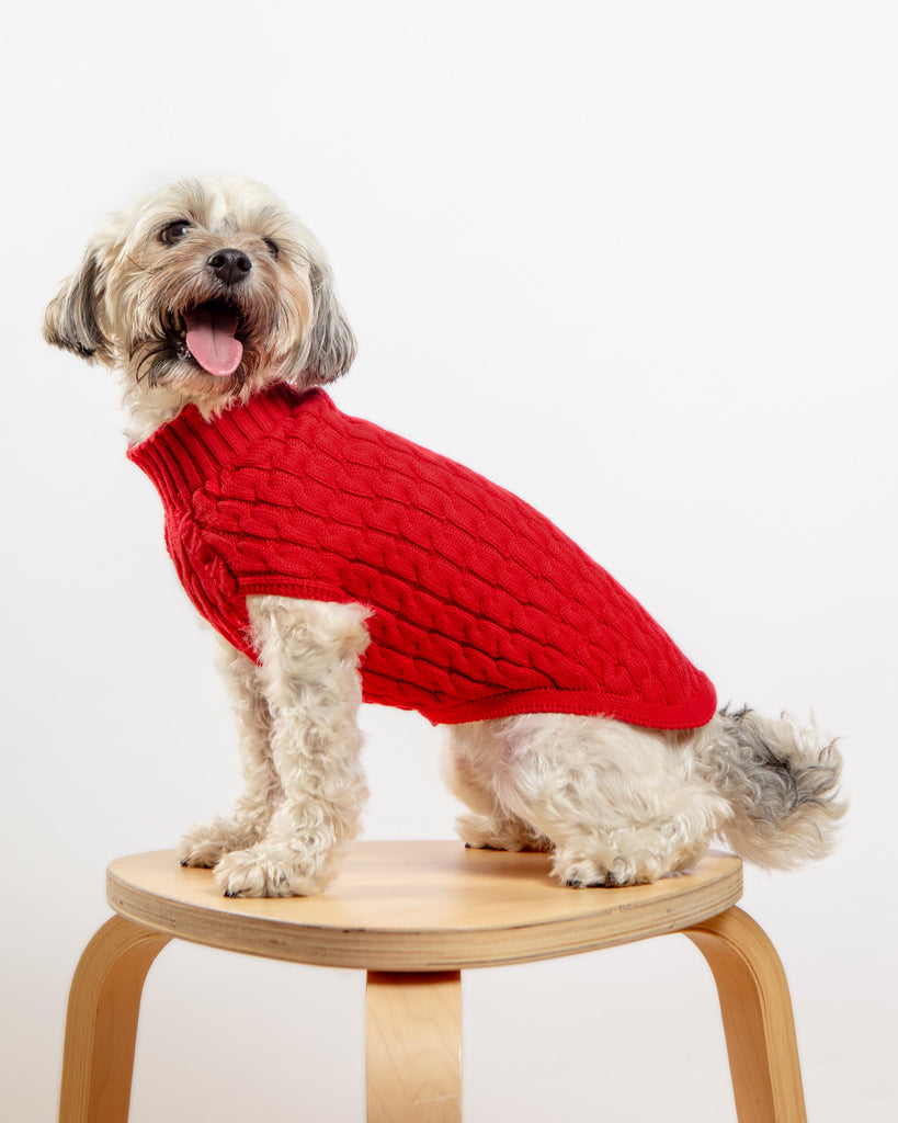 The Uptown Cable Knit Sweater in Red Cotton (Made in NYC) Wear DOG & CO. COLLECTION