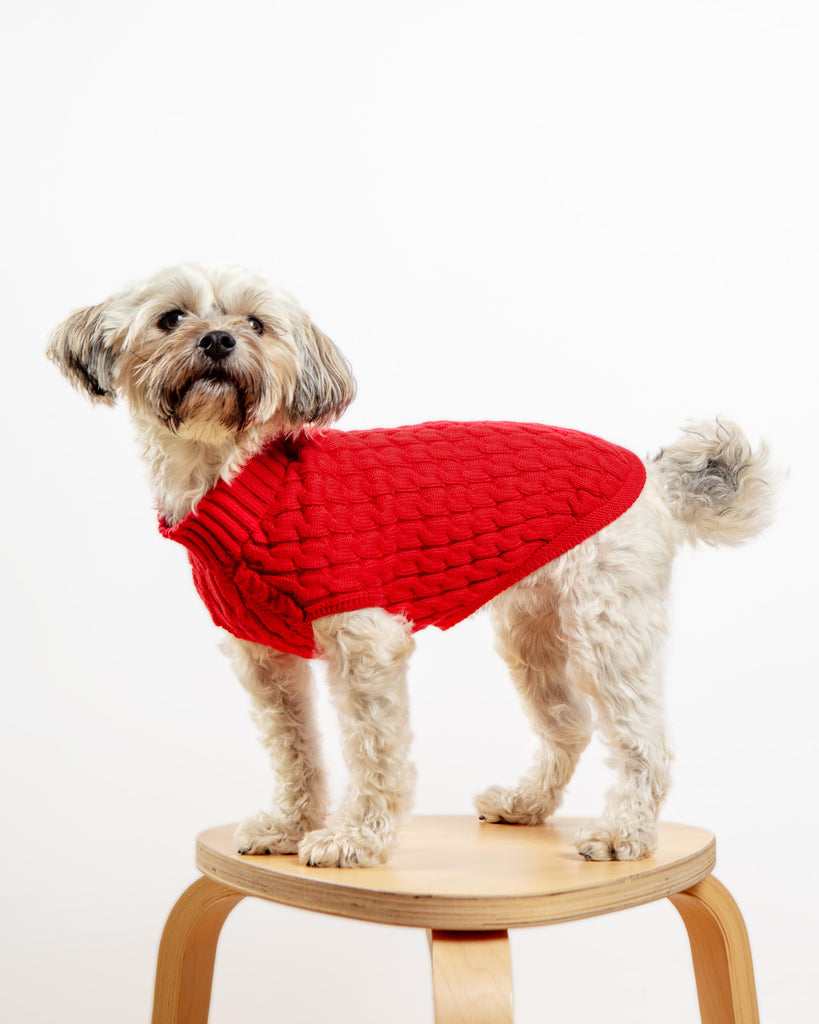 The Uptown Cable Knit Sweater in Red Cotton (Made in NYC) Wear DOG & CO. COLLECTION