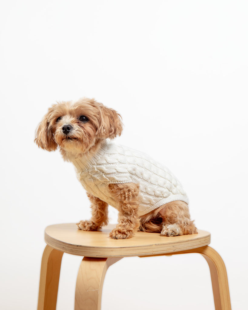 The Uptown Cable Knit Sweater in Natural Merino Wool (Made in NYC) Wear DOG & CO. COLLECTION