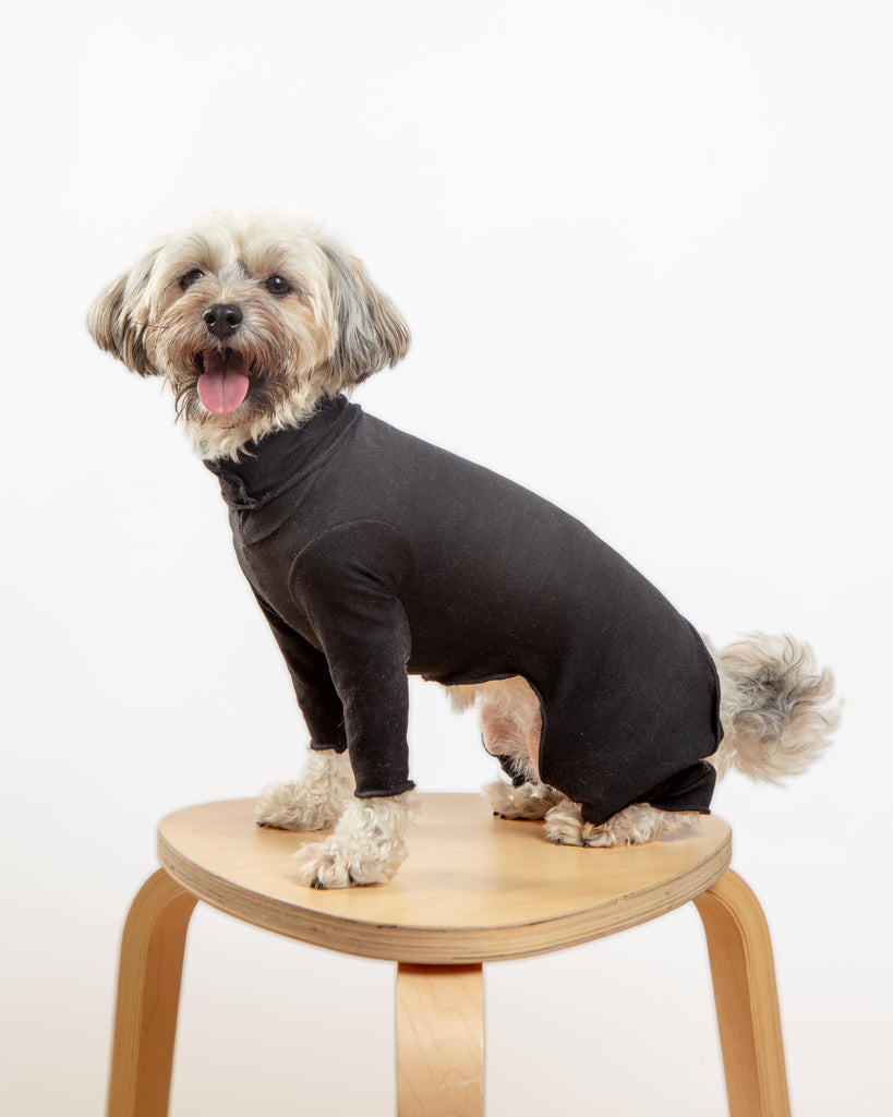 Gold Paw Body Warm Onesie Dog Suit in Black (Made in the USA) Wear GOLD PAW