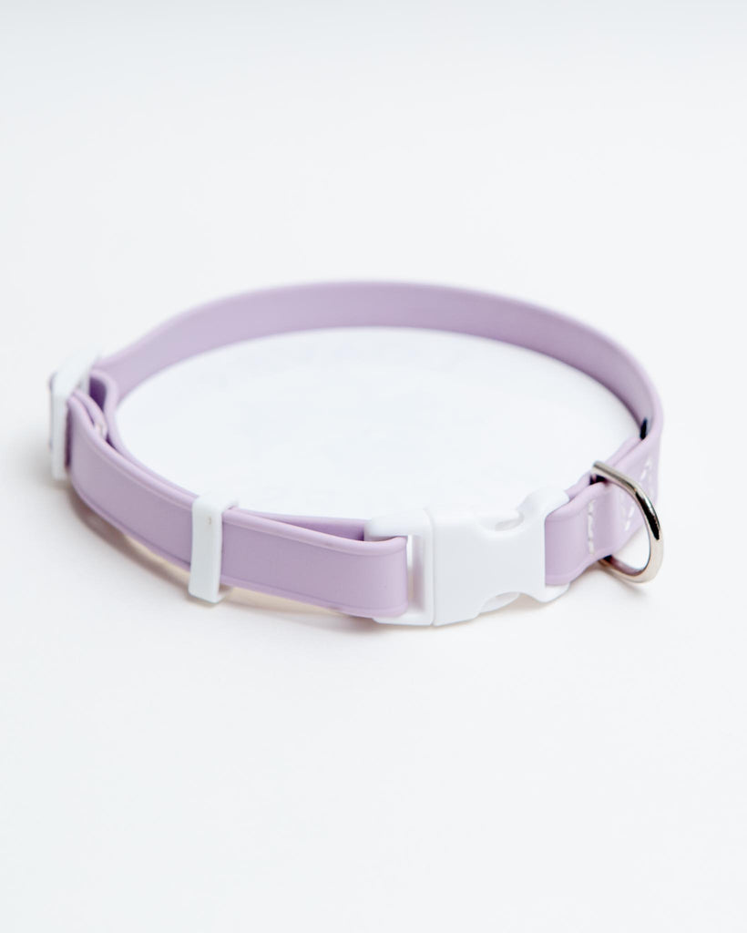 A Walk in the Park Dog Collar in Lilac or Black WALK DOG & CO. COLLECTION   