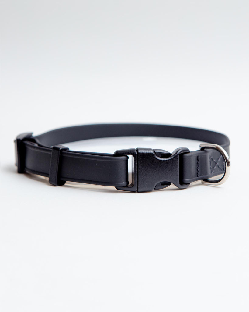 A Walk in the Park Dog Collar in Lilac or Black WALK DOG & CO. COLLECTION Black X-Small (8-12") 