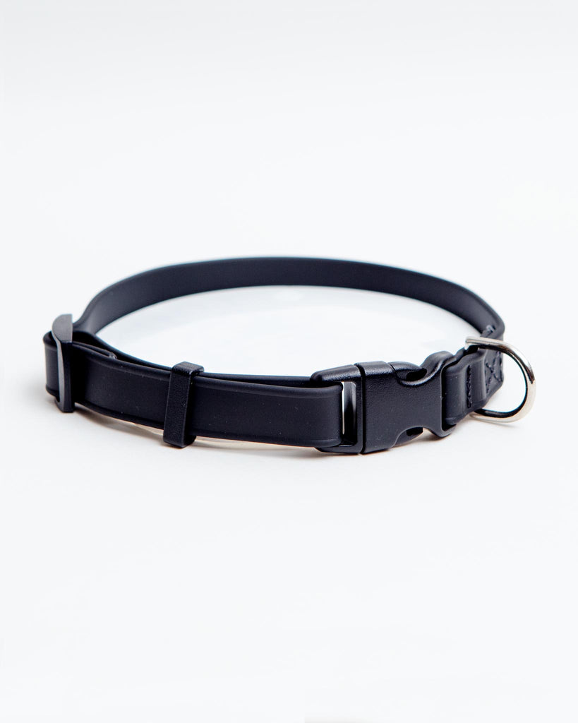 A Walk in the Park Dog Collar in Lilac or Black WALK DOG & CO. COLLECTION   