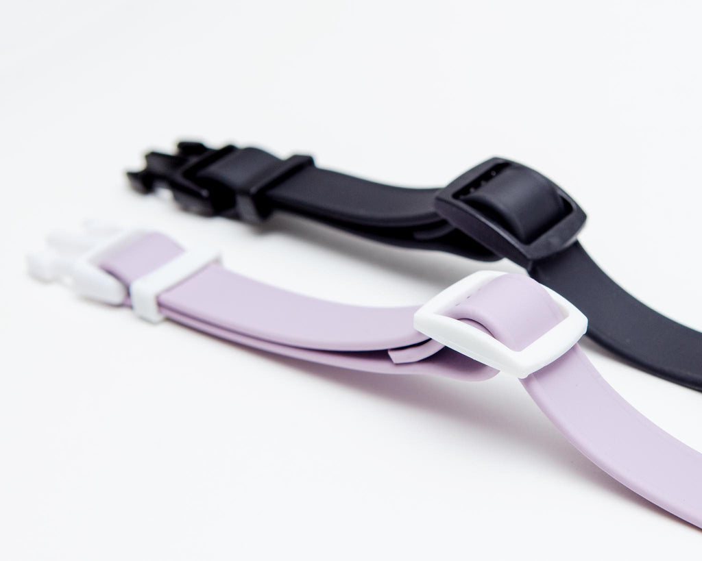 A Walk in the Park Dog Collar in Lilac or Black WALK DOG & CO. COLLECTION   