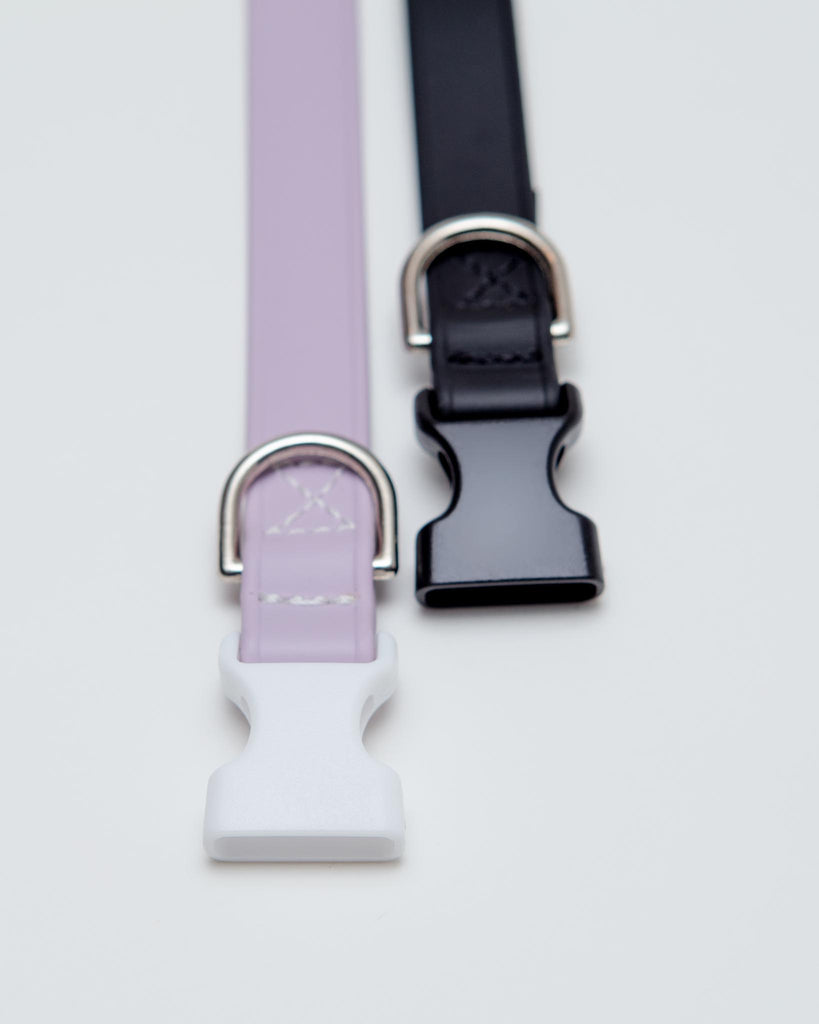 A Walk in the Park Dog Collar in Lilac or Black WALK DOG & CO. COLLECTION   