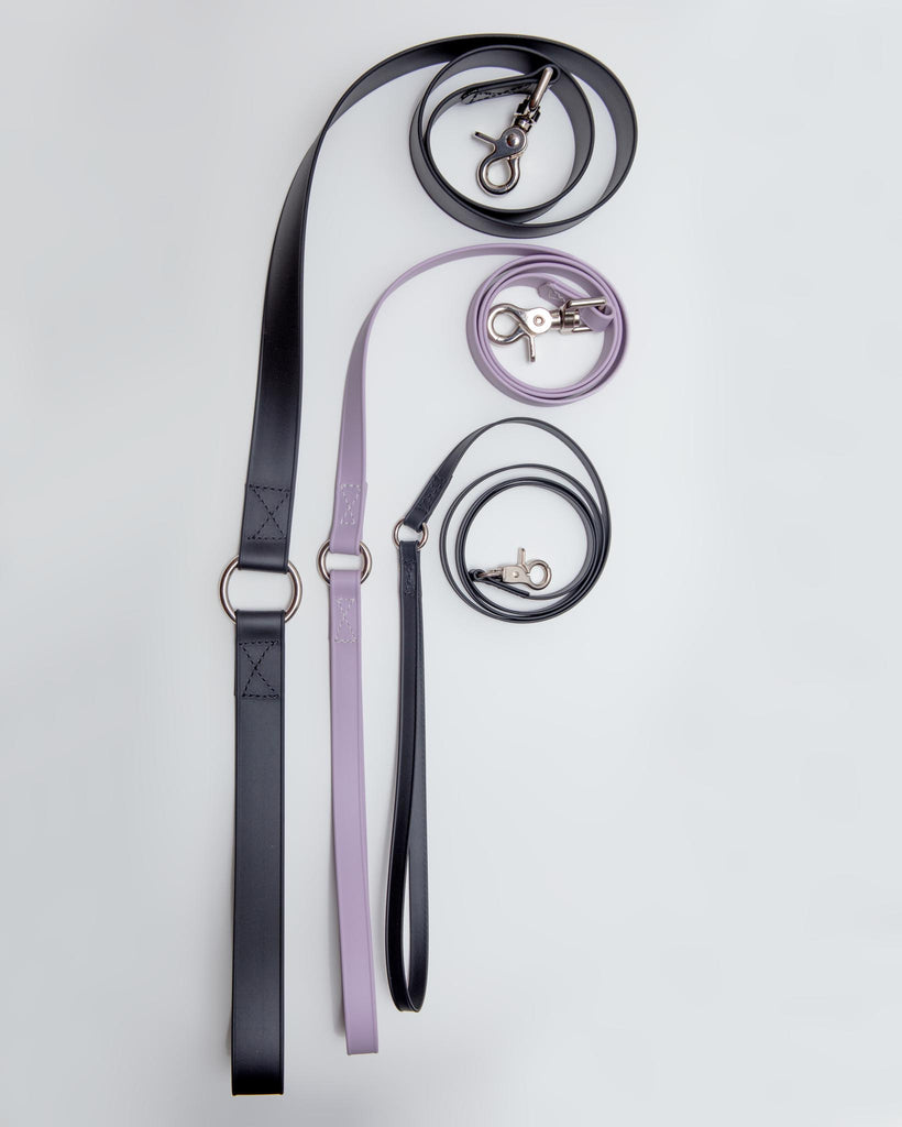 A Walk in the Park Dog Leash in Lilac or Black (Made in the USA) WALK DOG & CO. COLLECTION   