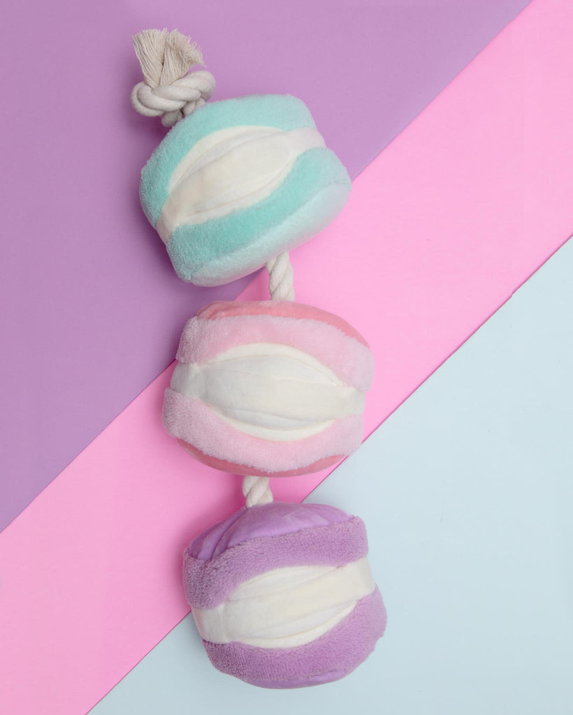 Macarons Interactive Snuffle Dog Toy (FINAL SALE) Play THE FOGGY DOG   