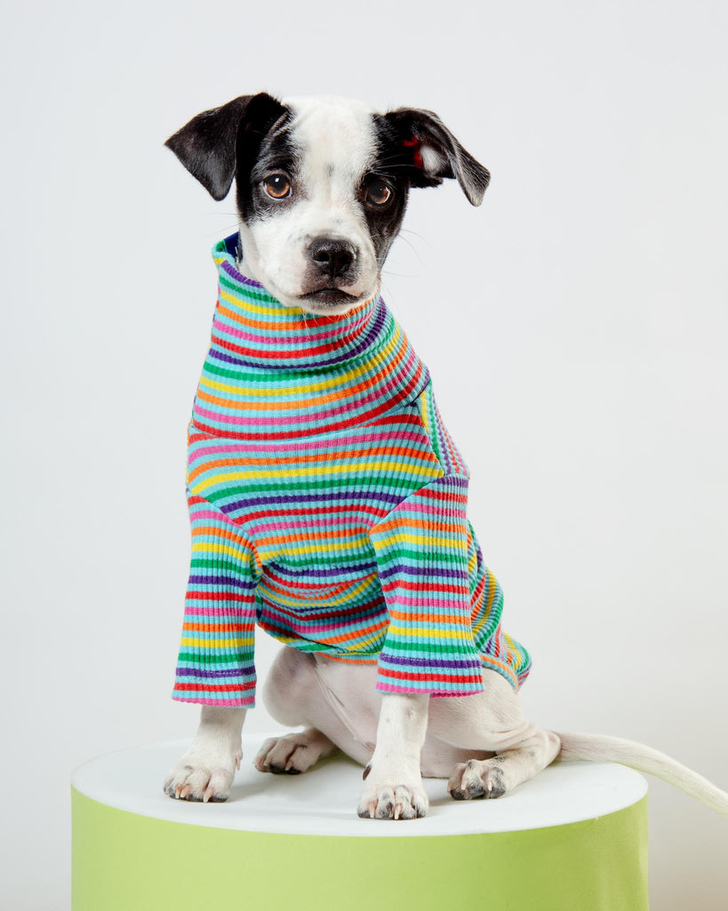 Fabulous Ribbed Dog Pullover Wear LITTLE BEAST   