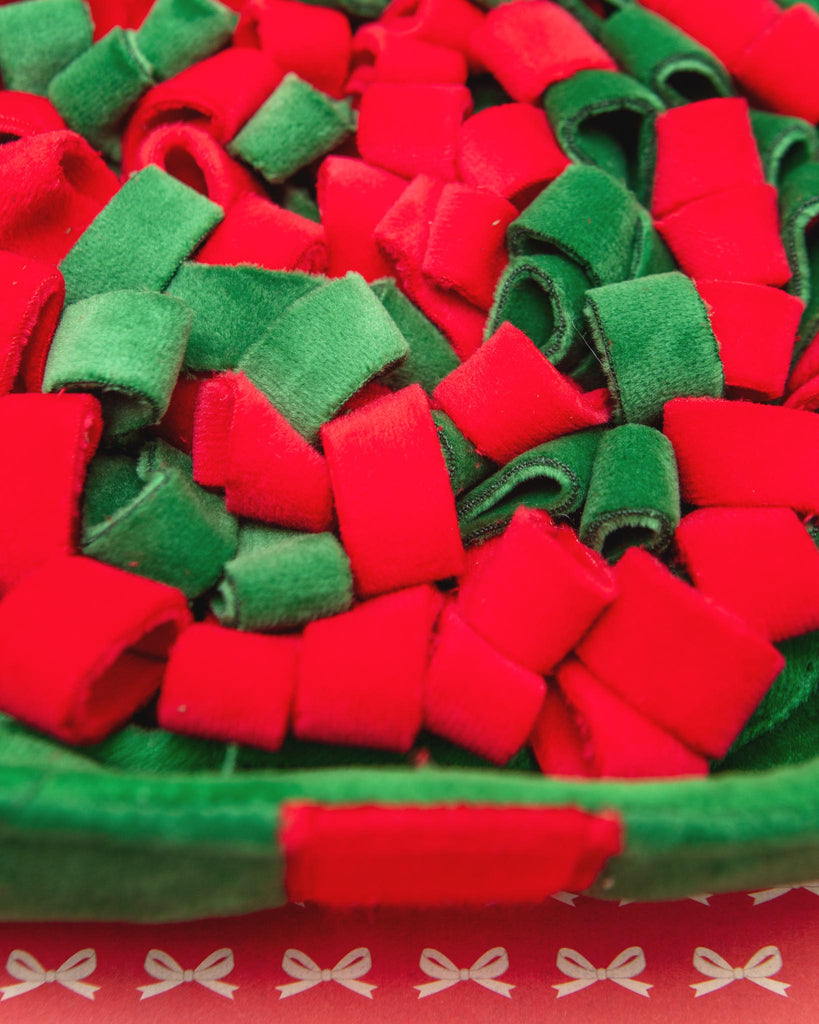 Holiday Present Interactive Snuffle Dog Toy PLAY THE FOGGY DOG