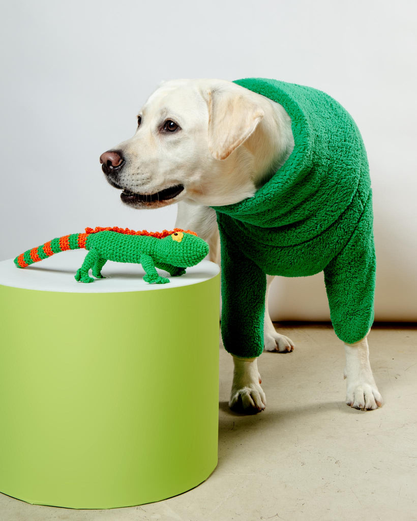 Hand Crochet Lizard Dog Toy Play WARE OF THE DOG   