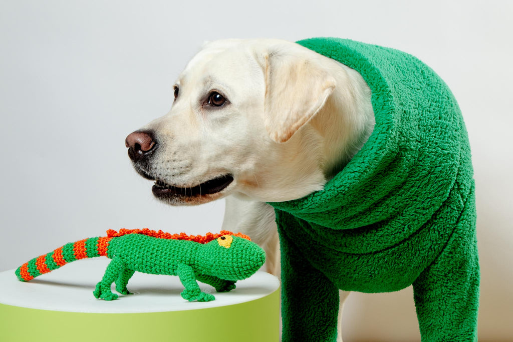 Hand Crochet Lizard Dog Toy Play WARE OF THE DOG   