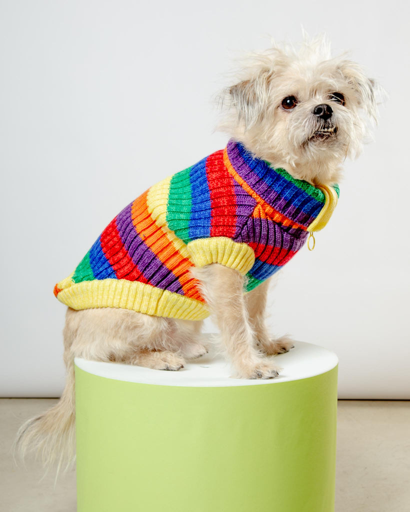 Over The Rainbow Dog Sweater (FINAL SALE) Wear CANADA POOCH   