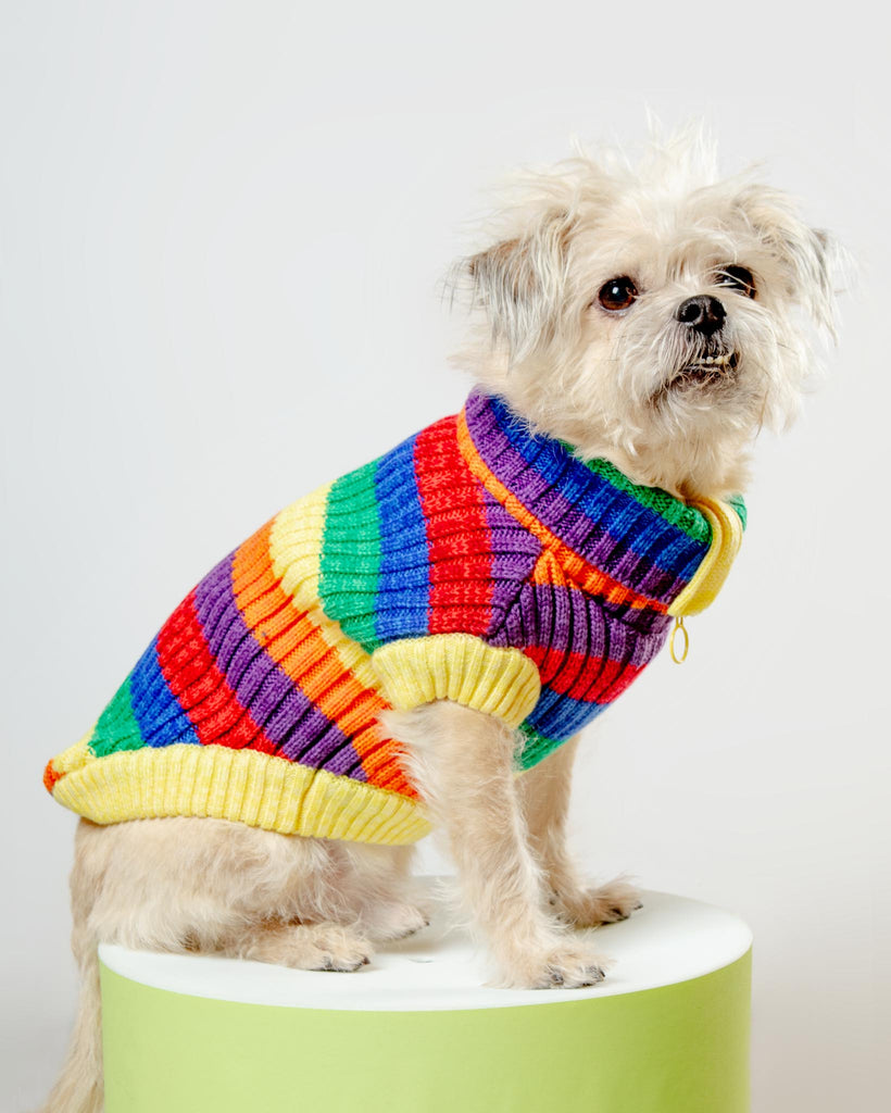 Over The Rainbow Dog Sweater (FINAL SALE) Wear CANADA POOCH   