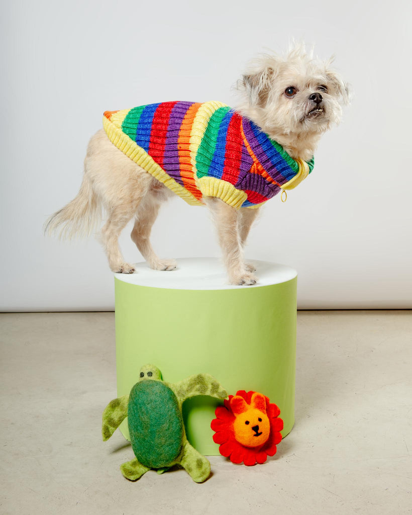 Over The Rainbow Dog Sweater (FINAL SALE) Wear CANADA POOCH   