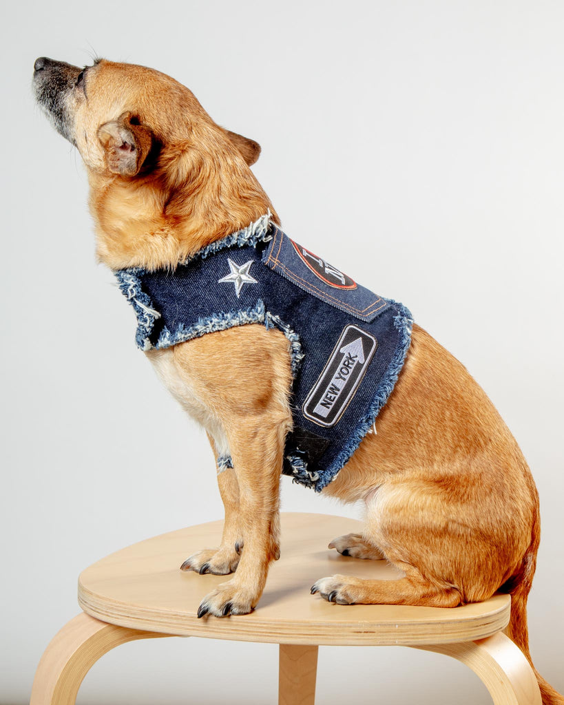 NYC Denim Dog Harness (Dog & Co. Exclusive) WALK HEADS OR TAILS PUP   