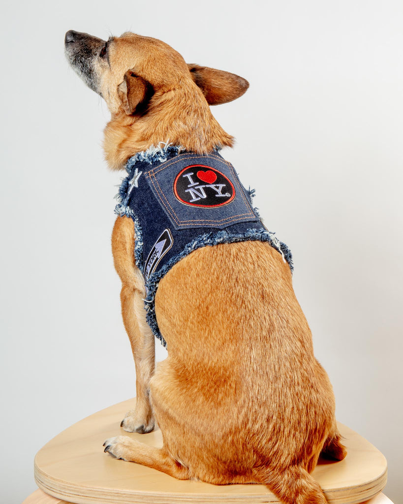 NYC Denim Dog Harness (Dog & Co. Exclusive) WALK HEADS OR TAILS PUP   