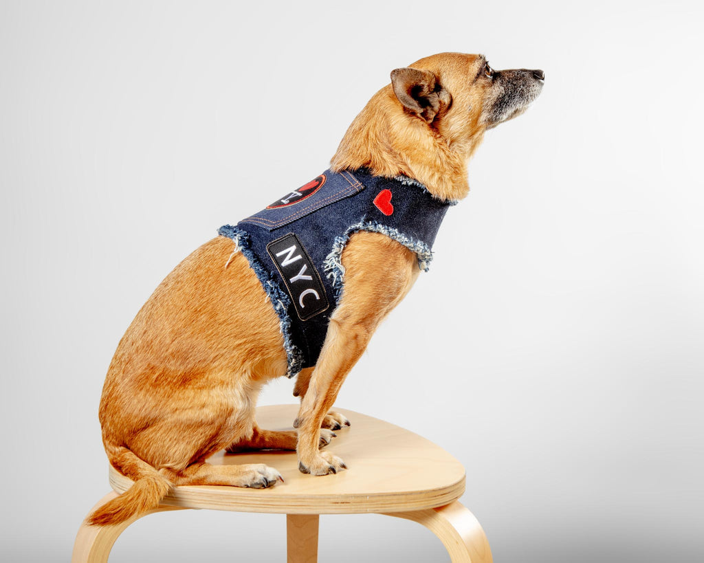 NYC Denim Dog Harness (Dog & Co. Exclusive) WALK HEADS OR TAILS PUP   