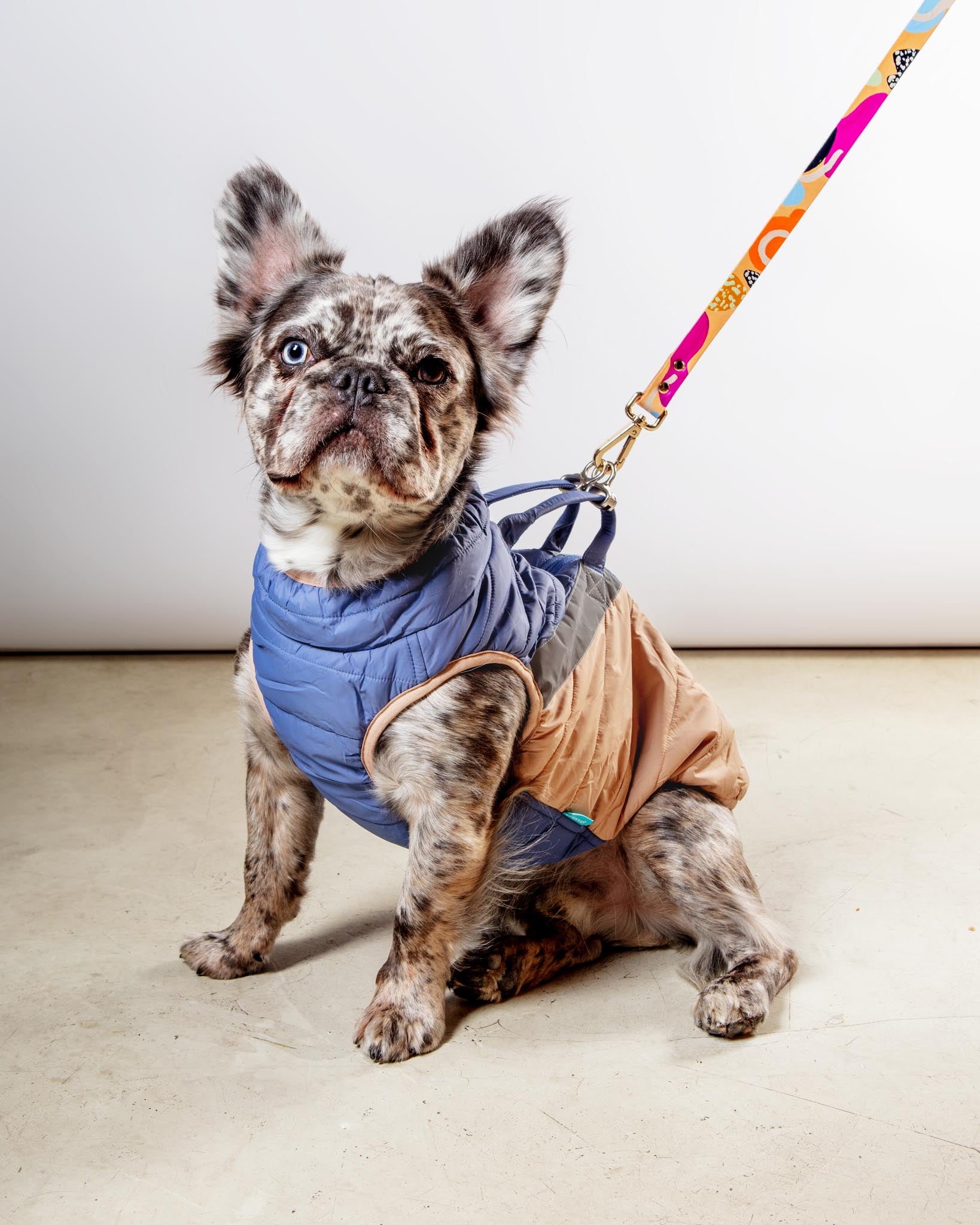 GOOBY | Mountaineer Waterproof Dog Harness Jacket in Tan