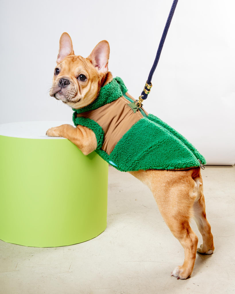 GOOBY | Zip-Up Sherpa Dog Vest in Forest Green | DOG & CO.