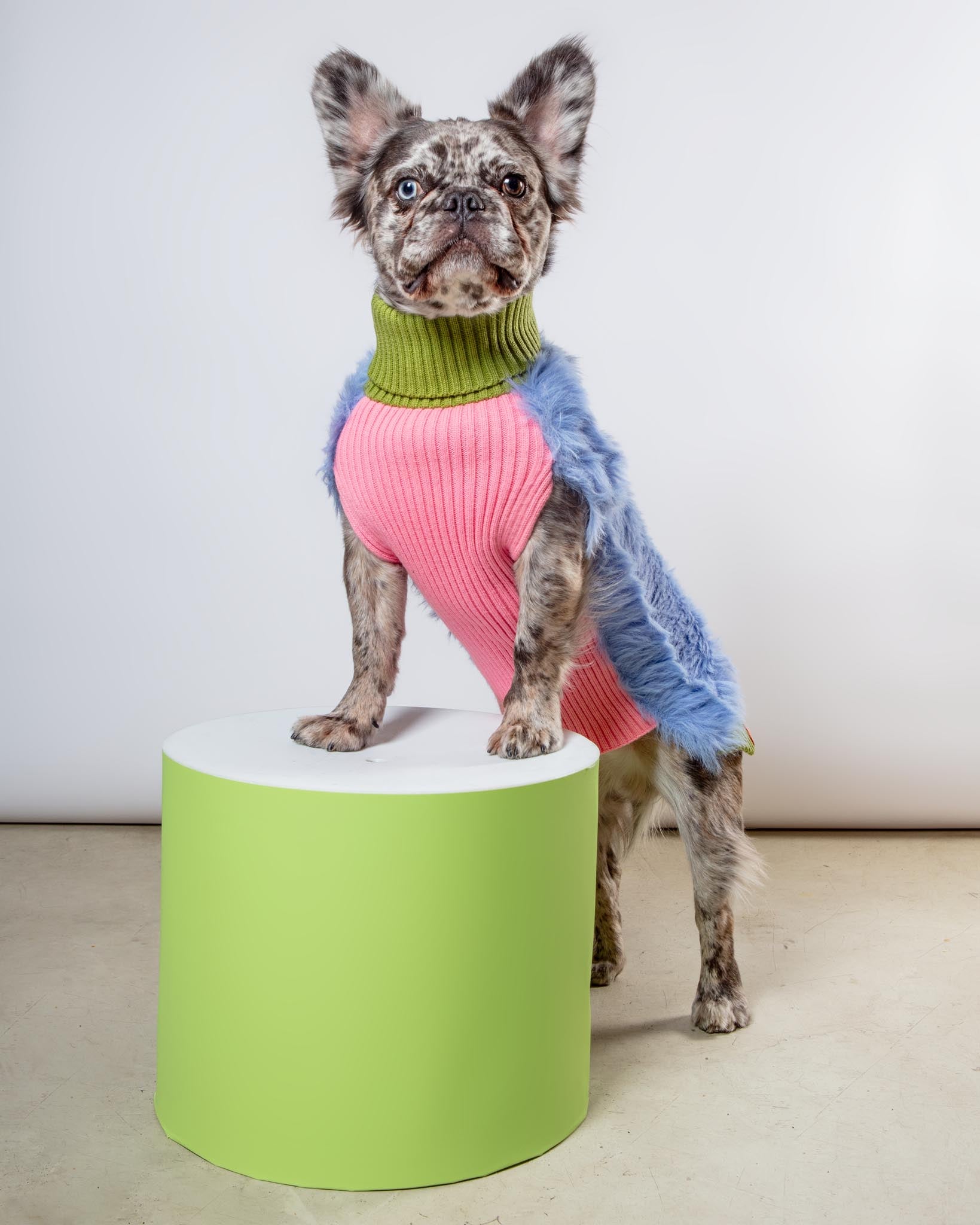 verloop dog sweater Faux Fur Dog Sweater (FINAL SALE)
