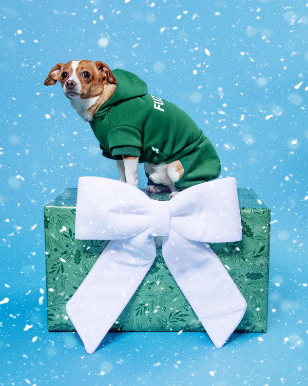 Urban Dog Tracksuit in Green