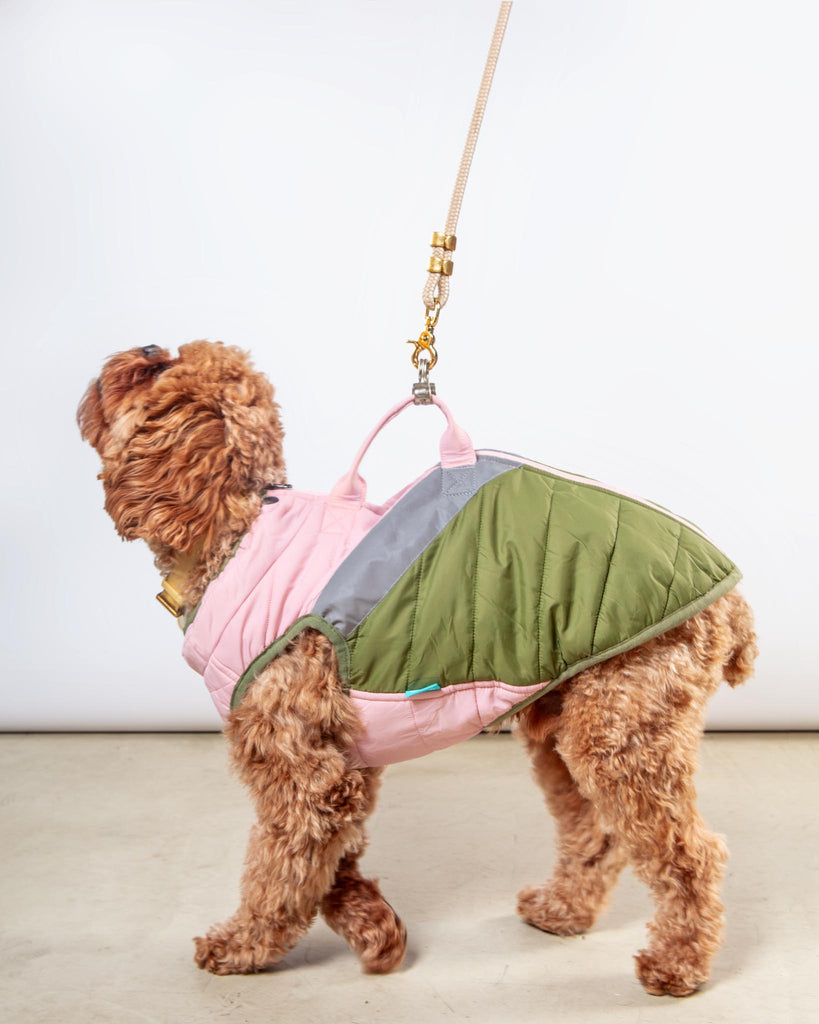 GOOBY Mountaineer Waterproof Dog Harness Jacket in Peach DOG