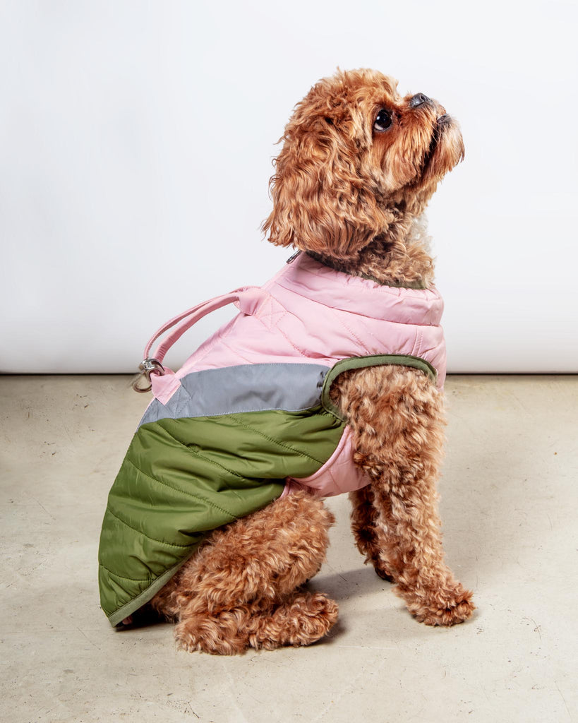 Mountaineer Waterproof Dog Harness Jacket in Peach Wear GOOBY   