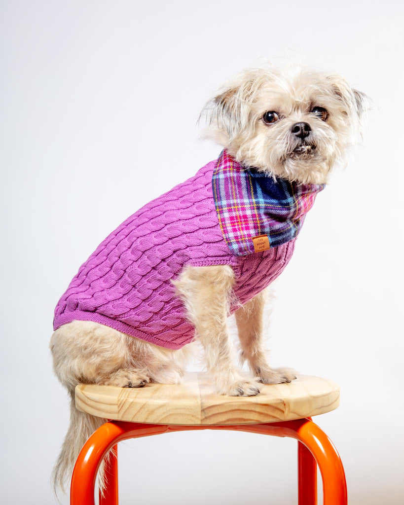 The Uptown Cable Knit Sweater in Radiant Orchid American Cotton (Made in NYC) Wear DOG & CO. COLLECTION   