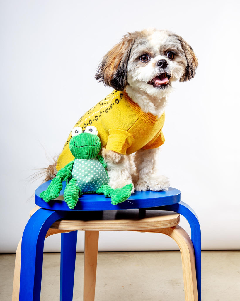 Fergie Frog Knottie Dog Plush Toy Play HUGGLEHOUNDS   