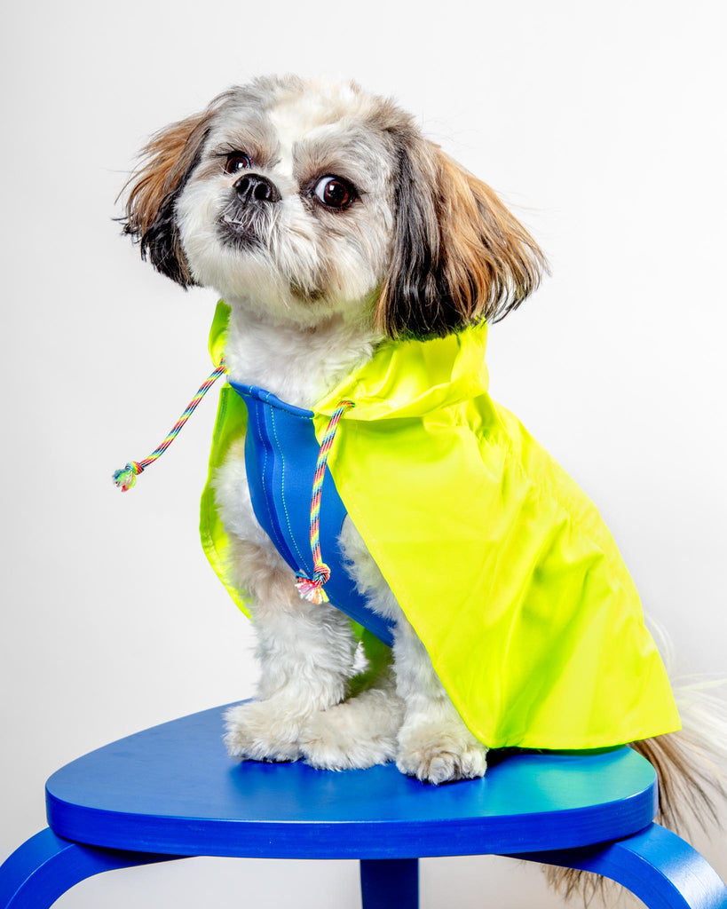 Action Jacket Pull-On Raincoat in Safety Yellow + Blue (Made in NYC) Wear DOG & CO. COLLECTION   