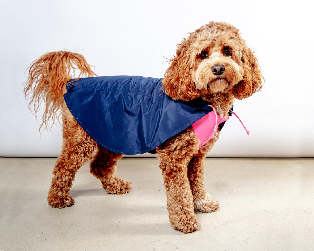 Action Jacket Pull-On Raincoat in Navy + Neon Pink (Made in NYC) Wear DOG & CO. COLLECTION   