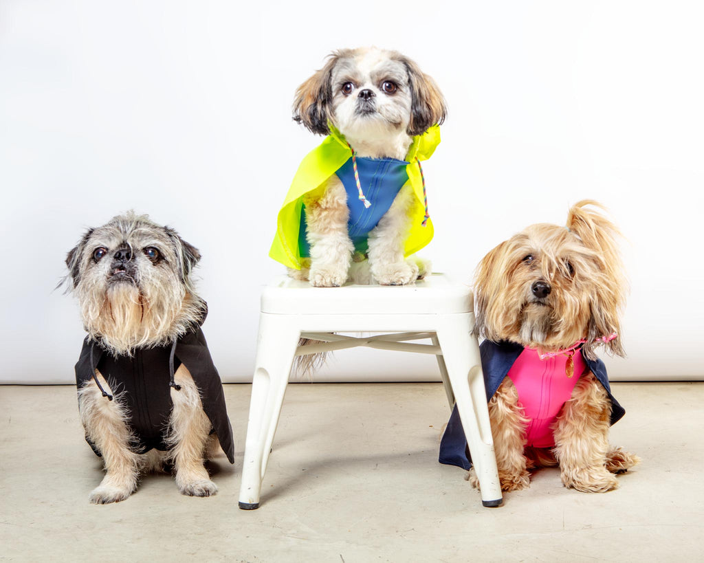 Action Jacket Pull-On Raincoat in Safety Yellow + Blue (Made in NYC) Wear DOG & CO. COLLECTION   