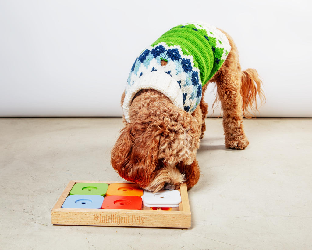 Ski Bum Dog Sweater in Green (FINAL SALE) Wear CHILLY DOG   