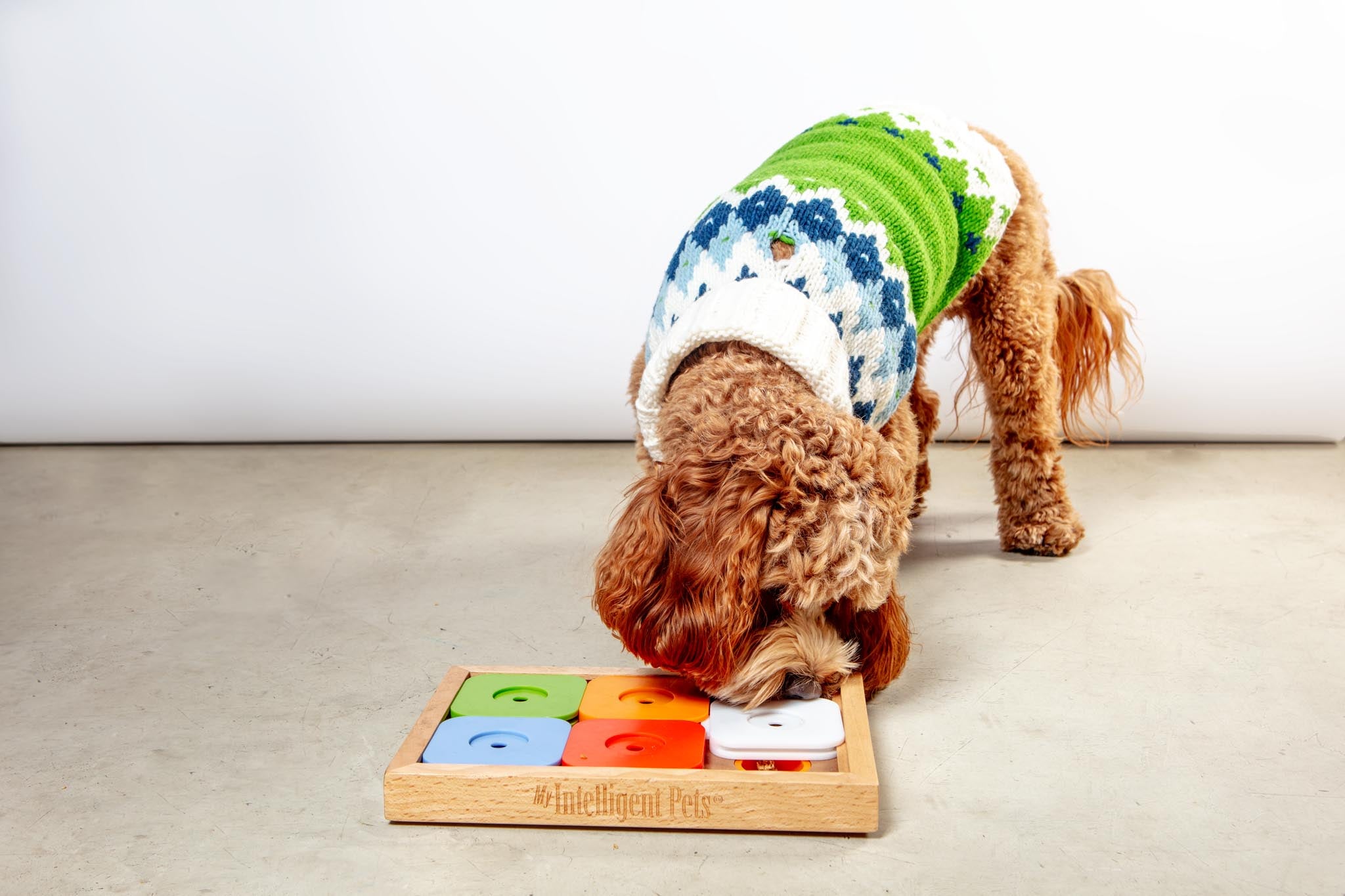 DOG & CO. | Quality Pet Products, In-Store & Online