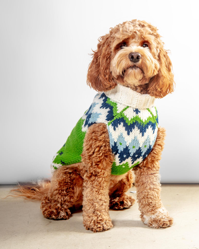 Ski Bum Dog Sweater in Green (FINAL SALE) Wear CHILLY DOG   