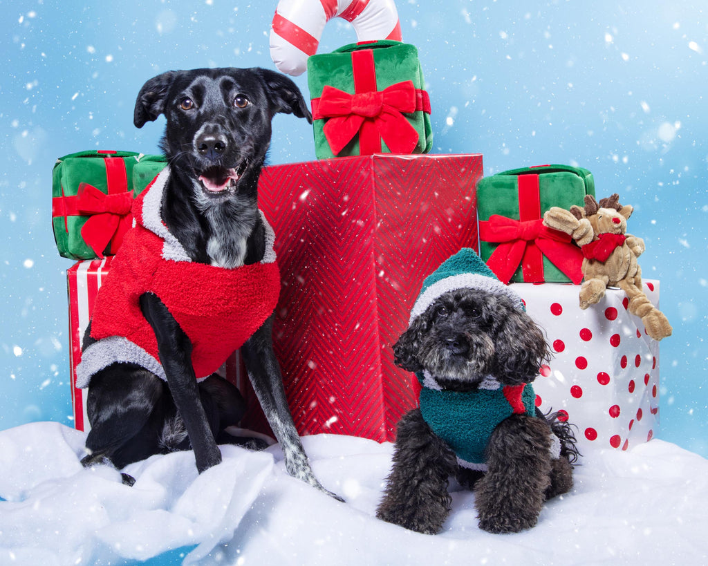 Chenille Santa Dog Hoodie