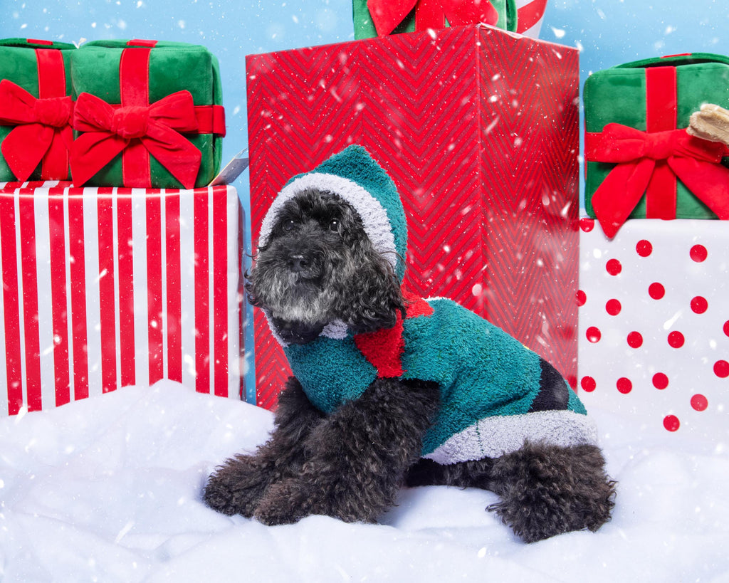 Chenille Elf Dog Hoodie