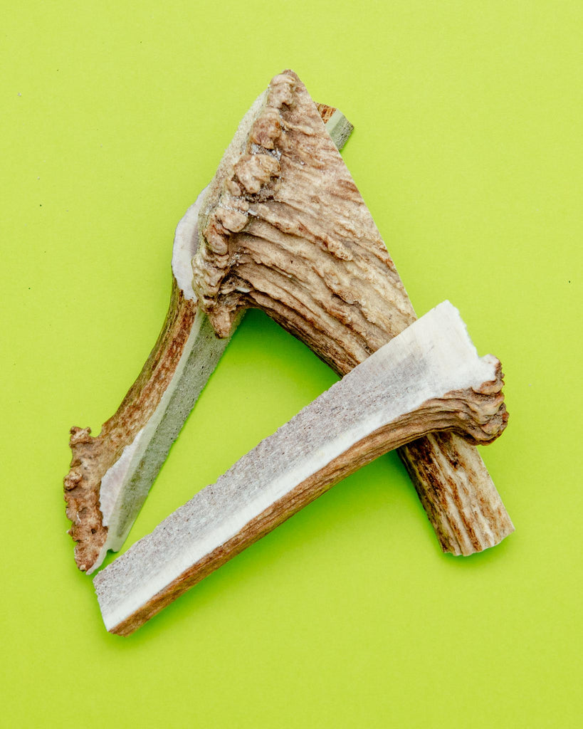 Split Elk Antler Dog Single Chew Eat PUPFORD   