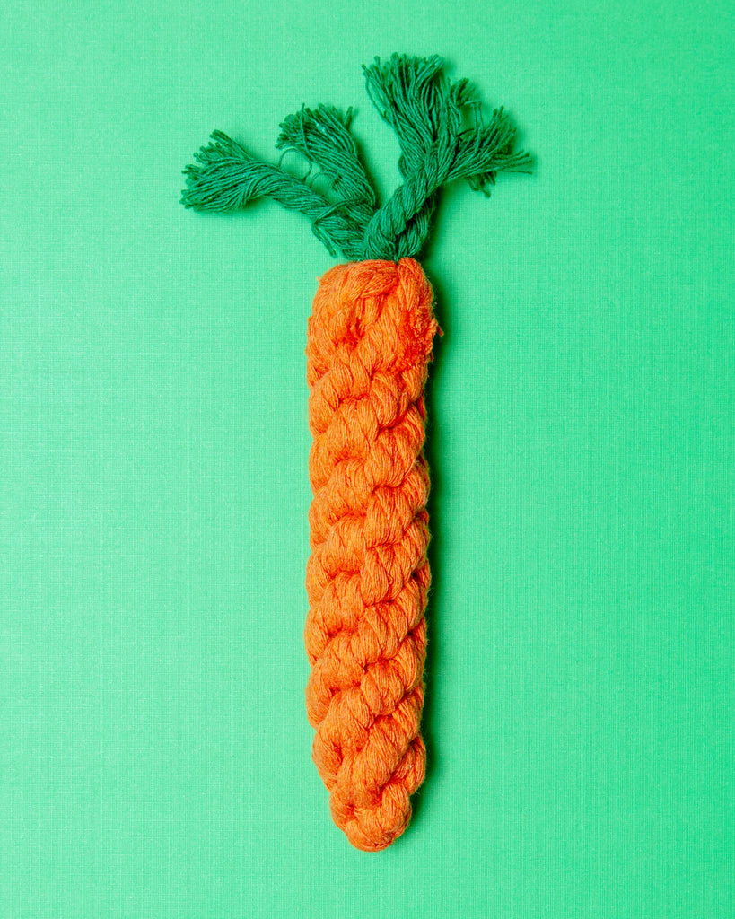Eco-Friendly Carrot Rope Dog Toy Play KNOTTY PAWS   